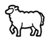 Super fine merino wool
